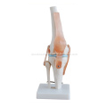 /msite/products/detail/productid/57018137/id/666382.html